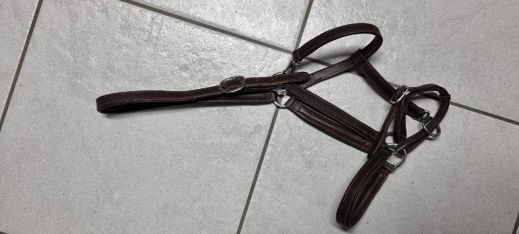 Secondhand-Artikel | Lederhalfter Gr. Full