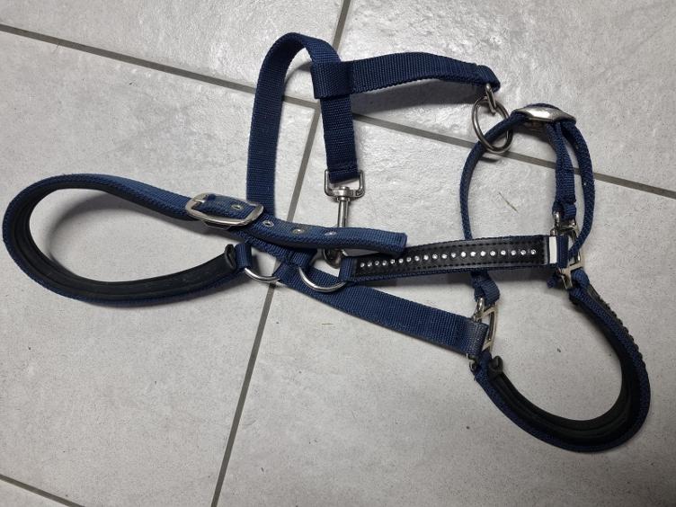 Secondhand-Artikel | Halfter Gr. Full