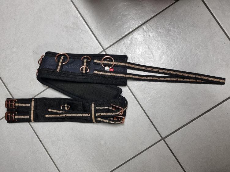 Secondhand-Artikel | Longiergurt Gr. Pony (Neu)