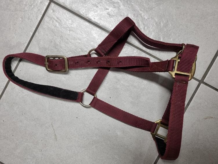 Secondhand-Artikel | Halfter Gr. Full
