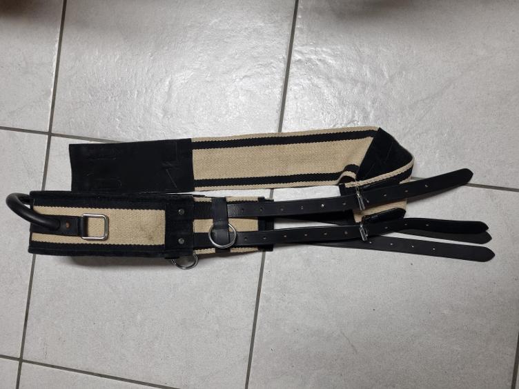 Secondhand-Artikel | Longiergurt mit Haltegriff Gr. Full