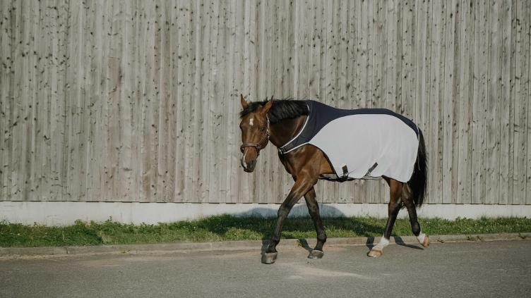 Neuware | Fliegen-Walkerdecke div. Grössen