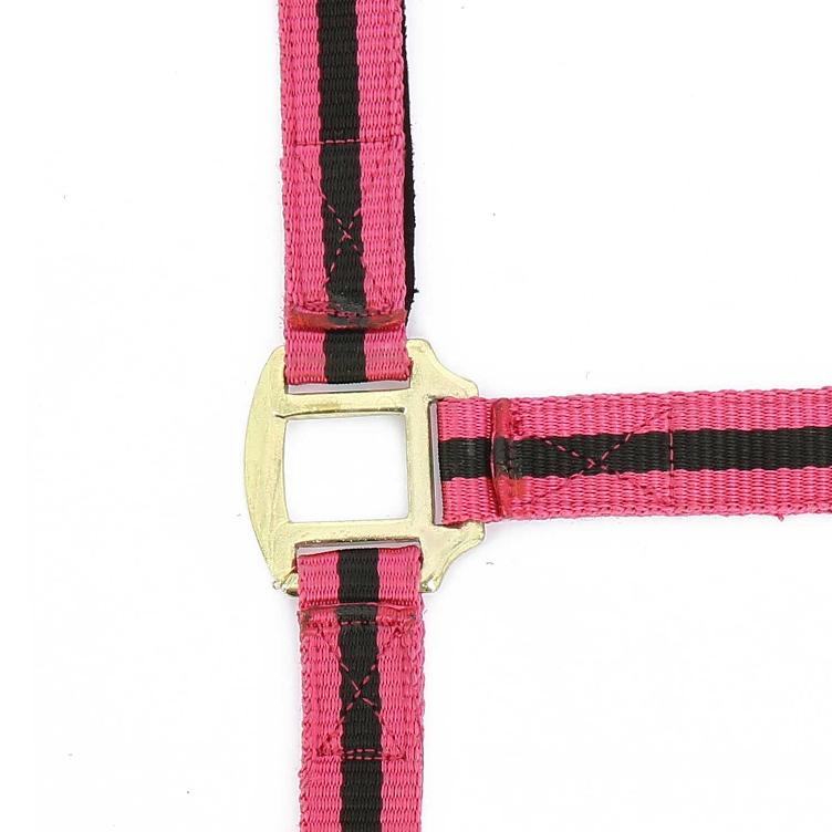 Neuware | Halfter Gr. Full