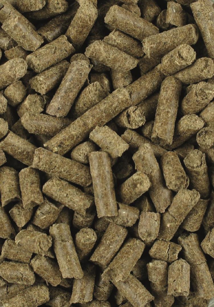 Lexa Teufelskralle + Ingwer 1kg - auf Vorbestellung