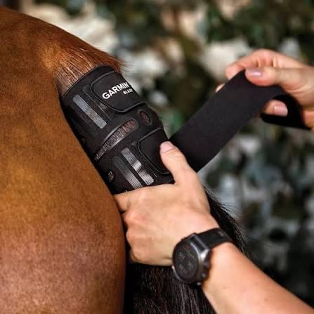 Neuware | Blaze™ Gesundheitstracker für Pferde