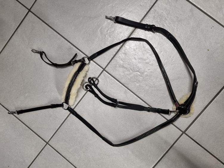 Secondhand-Artikel | Vorgeschirr/Martingal Gr. Full (Neu)