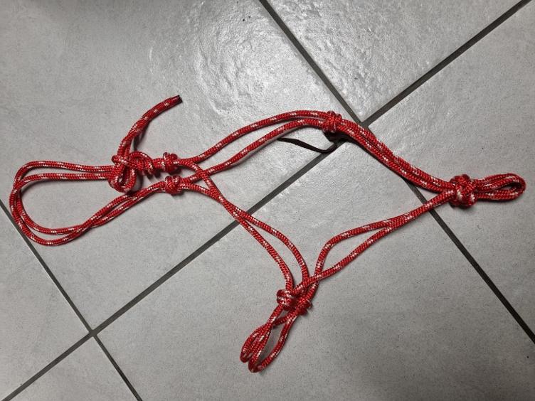 Secondhand-Artikel | Knotenhalfter Gr. Full