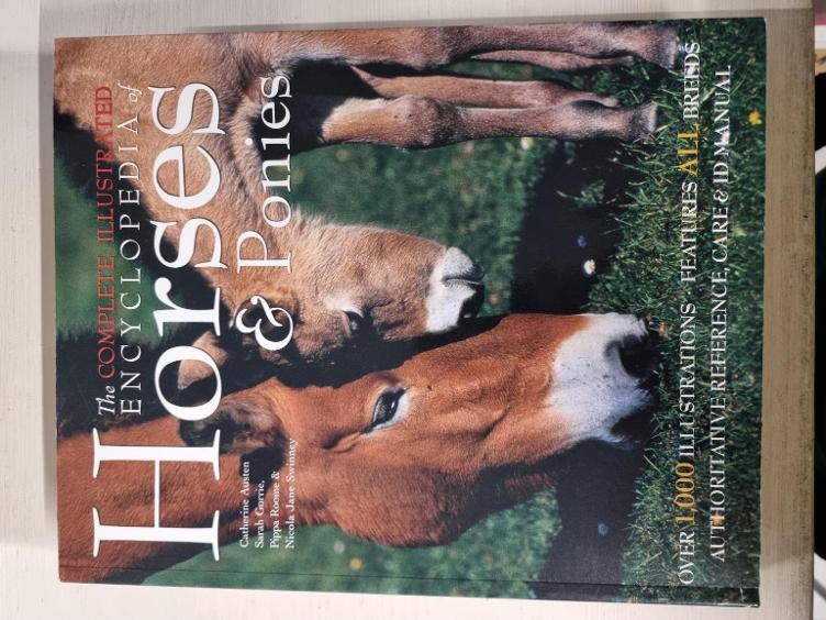 Secondhand-Artikel | Horses & Ponies (Neu)