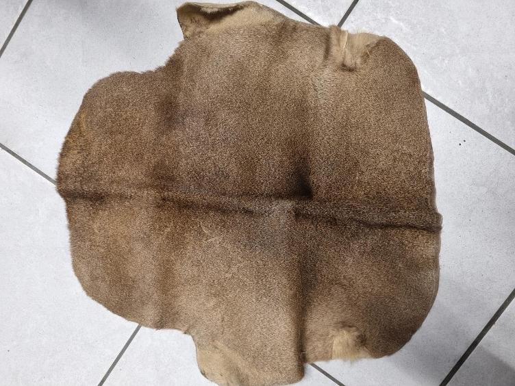 Secondhand-Artikel | Rehfell zugeschnitten