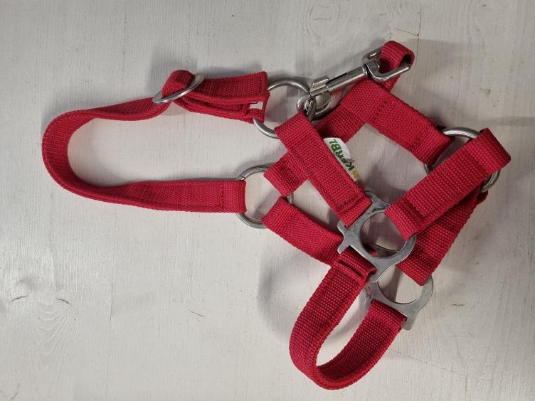 Secondhand-Artikel | Halfter Gr. Mini-Shetty