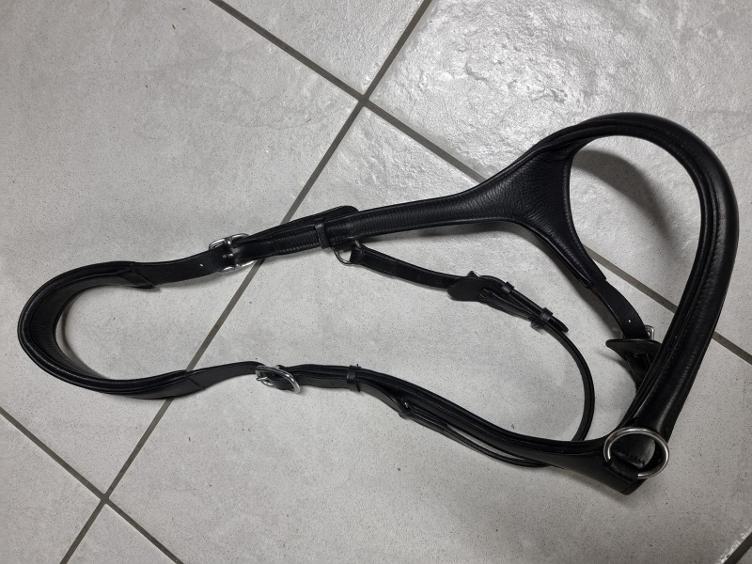 Secondhand-Artikel | Zaum gebisslos Gr. Full