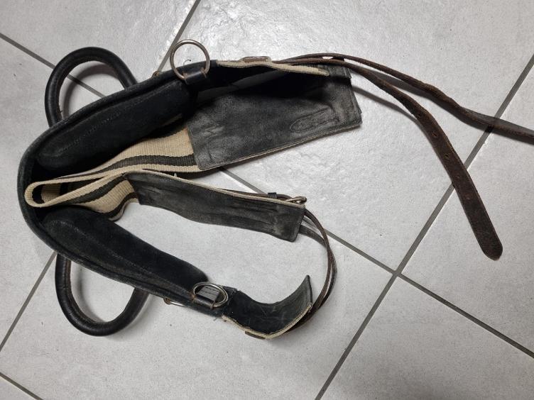 Secondhand-Artikel | Longiergurt mit zwei Griffen Gr. Full