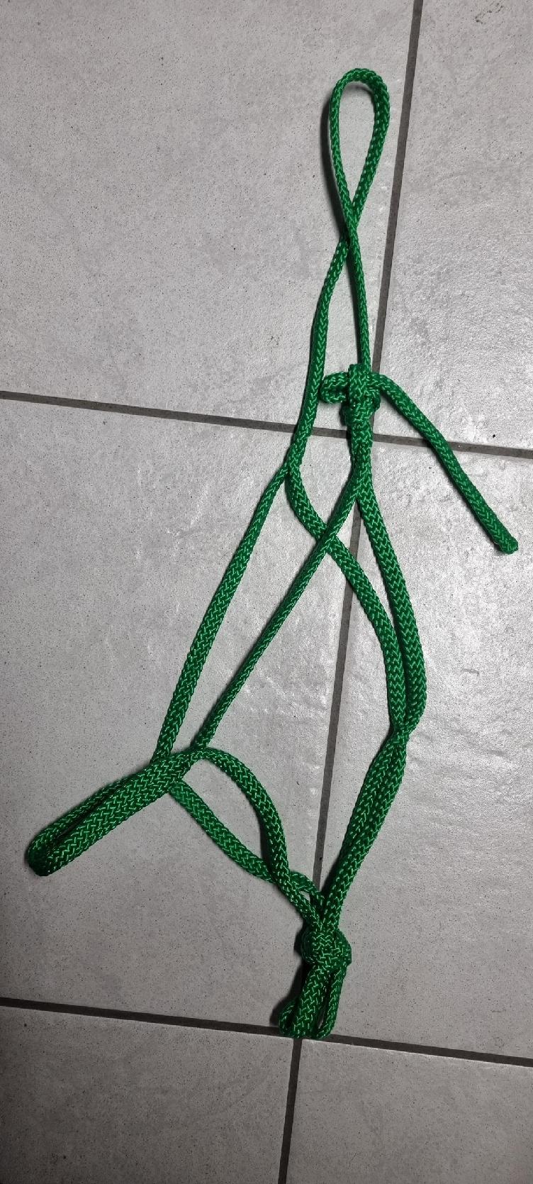 Secondhand-Artikel | Knotenloses Halfter Gr. Full/WB