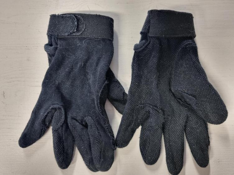 Secondhand-Artikel | Sommer-Reithandschuhe Gr. L