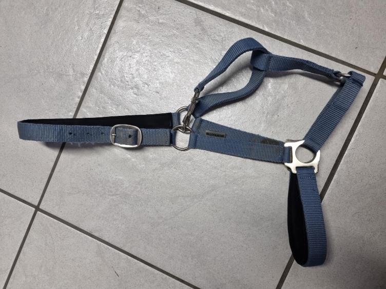 Secondhand-Artikel | Halfter Gr. Full