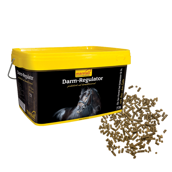 Darm-Regulator 3.5kg - auf Vorbestellung