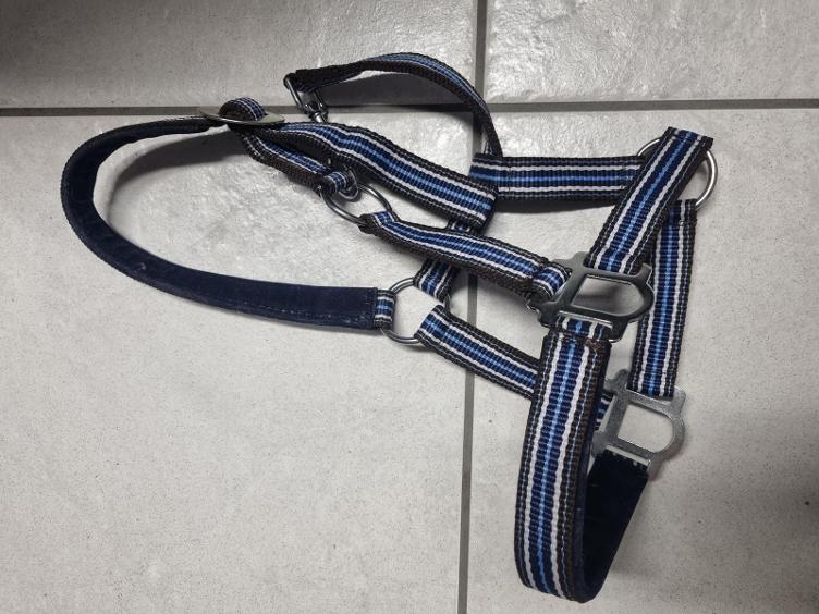 Secondhand-Artikel | Halfter Gr. Pony (Neu)