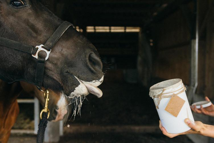 Öttu`s Muggeschutz - Käthi grau 2.4 Lt. - auf Vorbestellung