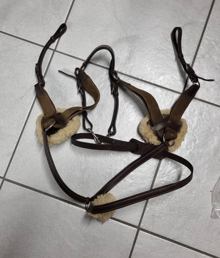 Secondhand-Artikel | Vorgeschirr Martingal 5-Punkte Gr. Full