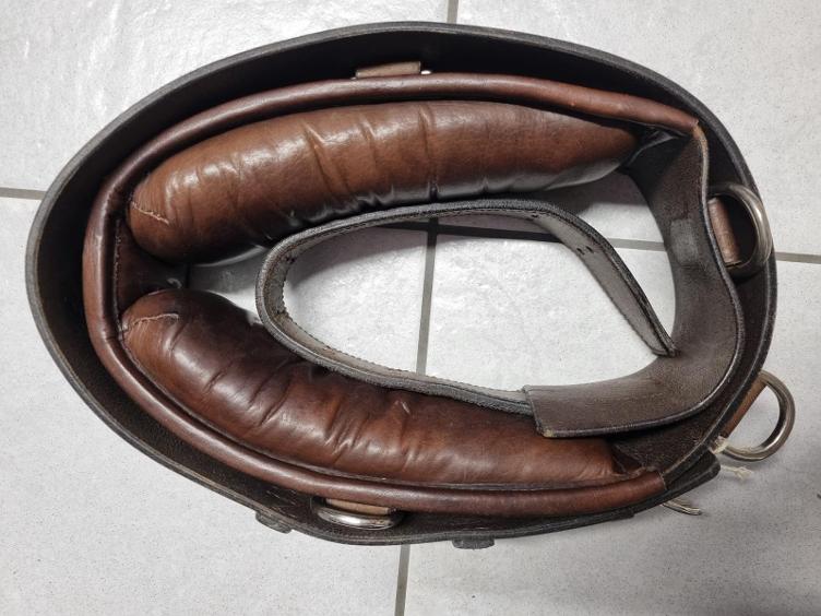 Secondhand-Artikel | Longiergurt Leder Gr. Full