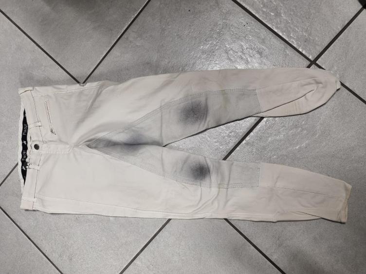 Secondhand-Artikel | Reithose Vollbesatz Gr. 36