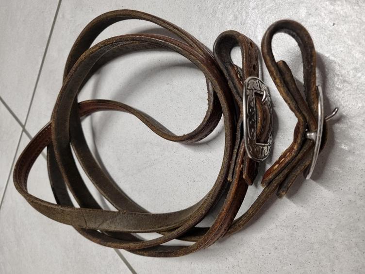 Secondhand-Artikel | geschlossene Westernzügel 2.8m