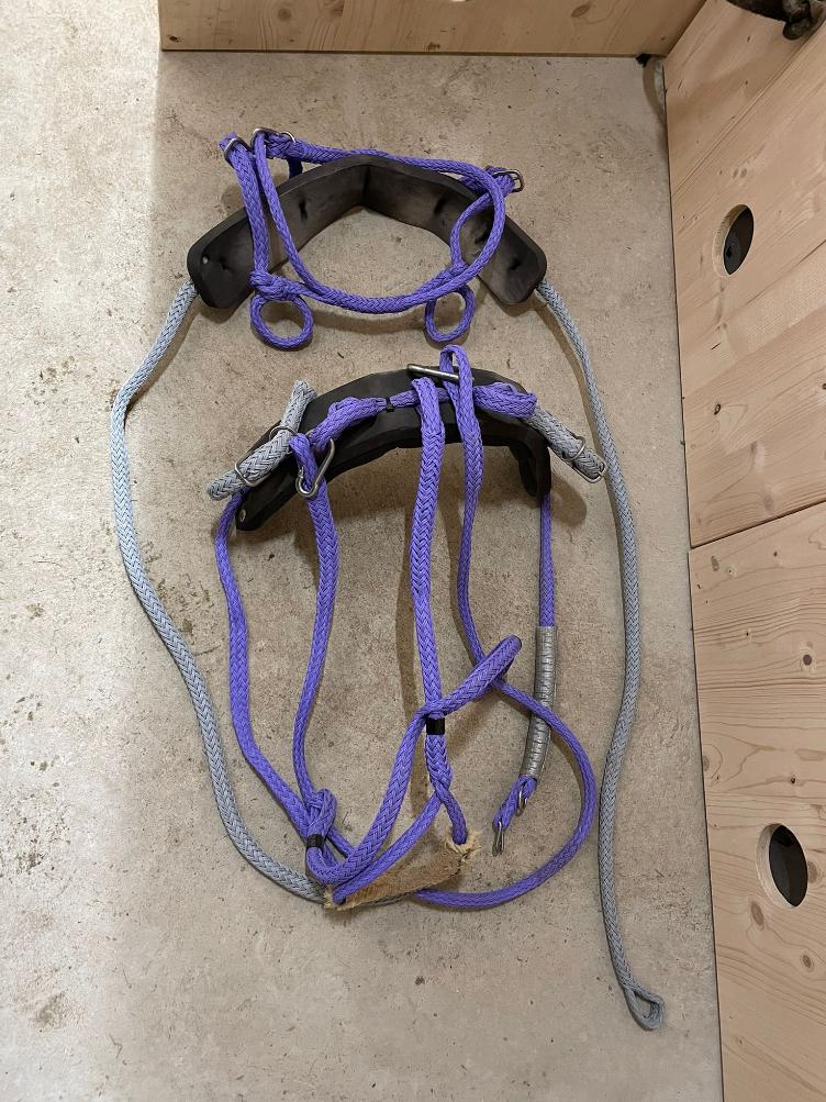 Secondhand-Artikel | Siltec Einspännergeschirr Gr. Shetty