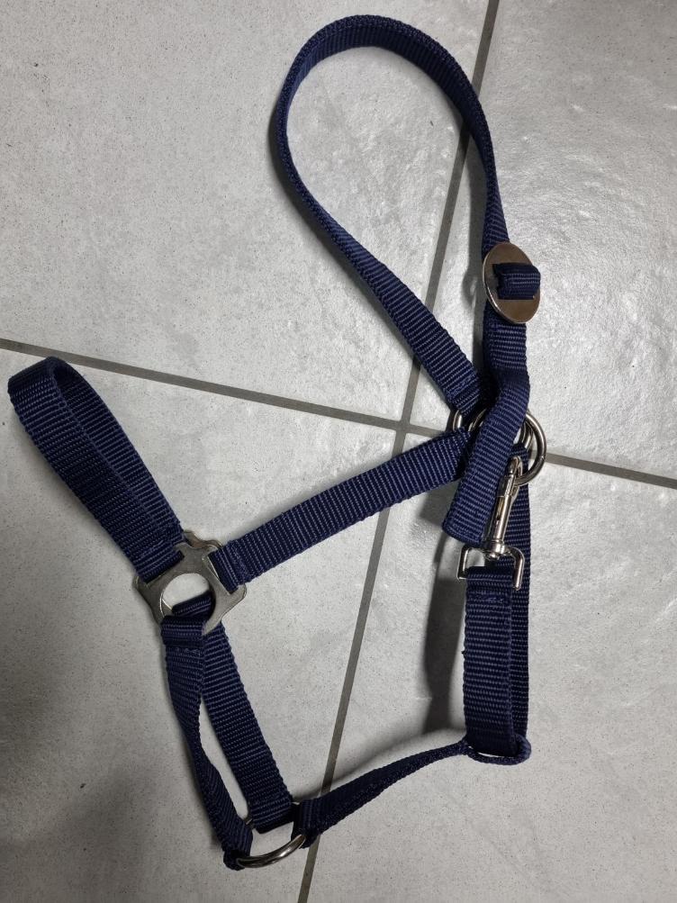 Neuware | Halfter Gr. Full