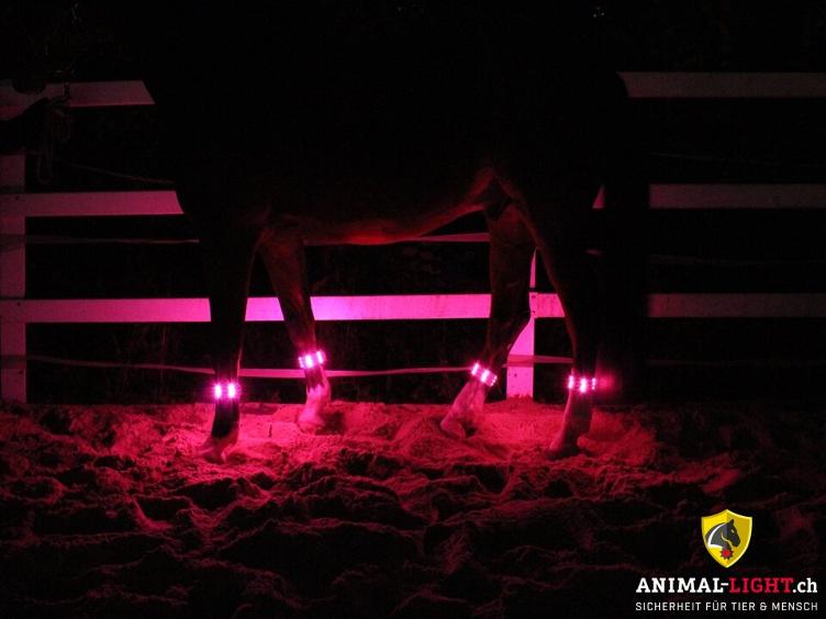 Neuware | Leucht-Gamaschen 4 Stk. Pink - auf Vorbestellung