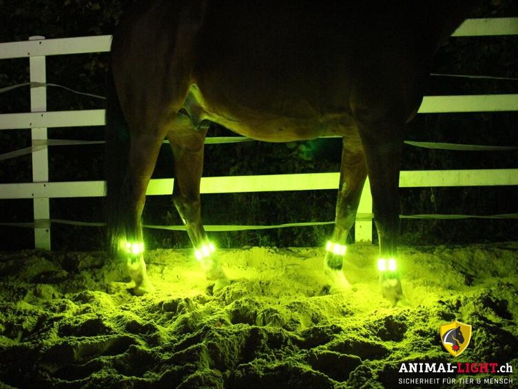 Neuware | Leucht-Gamaschen 4 Stk. Gelb - Gr. Cob