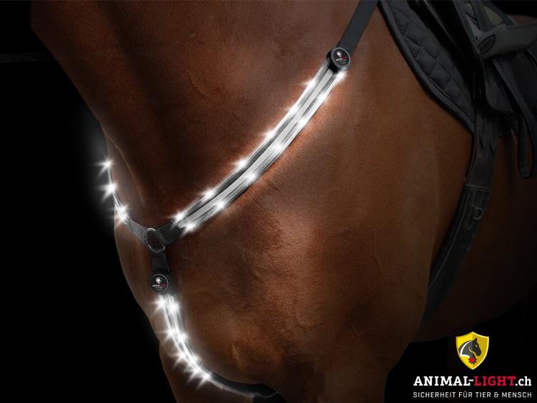 Neuware | Leucht-Vorgeschirr Weiss - auf Vorbestellung