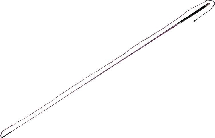 Neuware | Longierpeitsche mit Drehwirbel 180cm