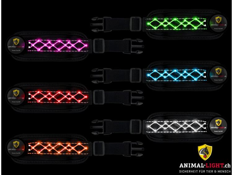 Neuware | Animal Light `Beauty`-Linie - auf Vorbestellung