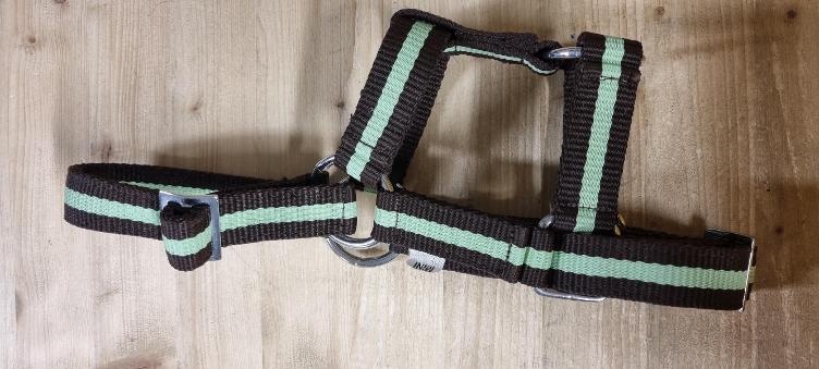 Neuware | Mini-Shetty Halfter