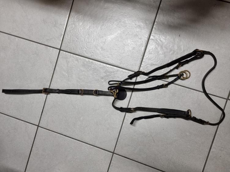Secondhand-Artikel | Vorgeschirr mit Martingal Gr. Full